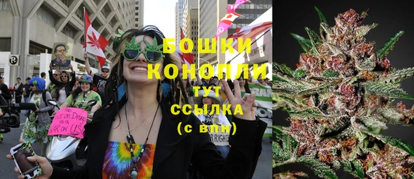 ПСИЛОЦИБИНОВЫЕ ГРИБЫ Балахна