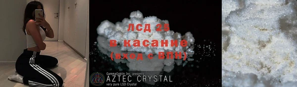 прущие грибы Арсеньев
